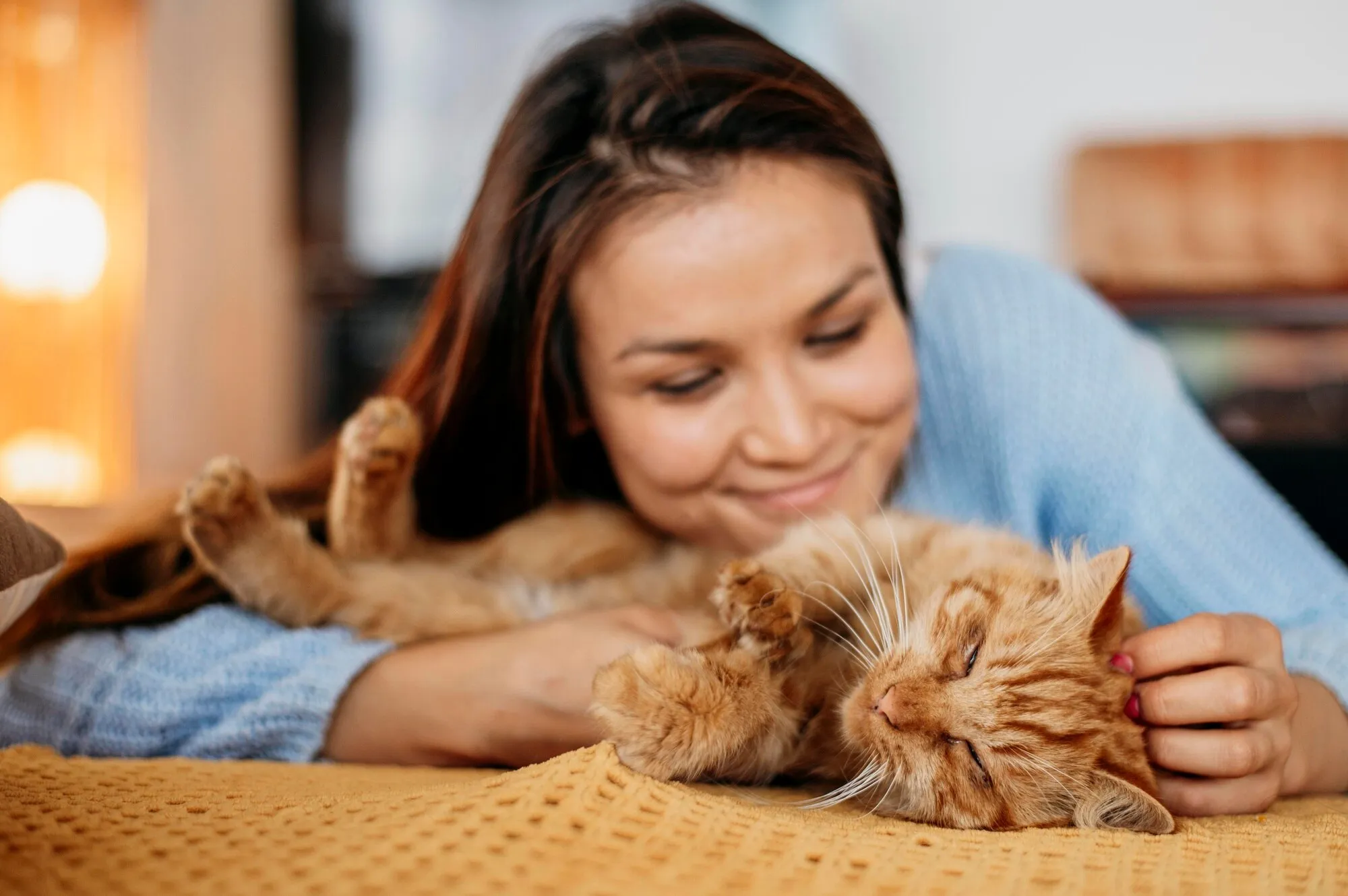 Katter är klängiga. 10 raser som är mycket fästa vid sina ägare